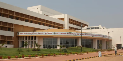 Institute