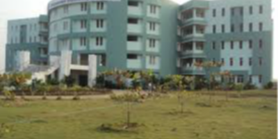 Institute