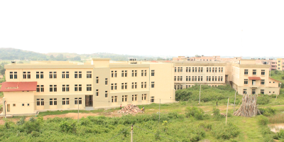 Institute