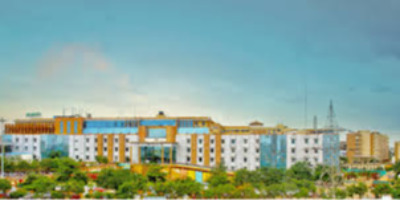 Institute