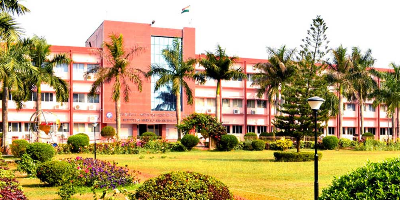 Institute