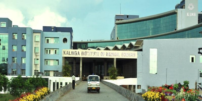 Institute