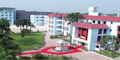 Institute