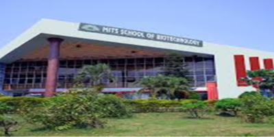 Institute
