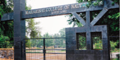 Institute