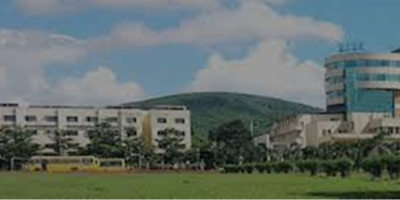 Institute
