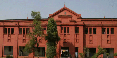 Institute