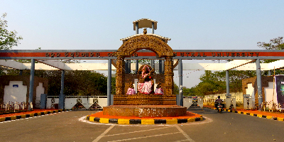 Institute
